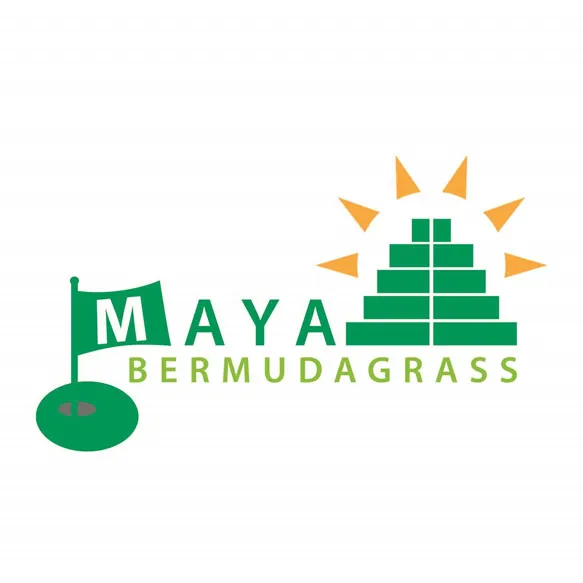 MAYA
