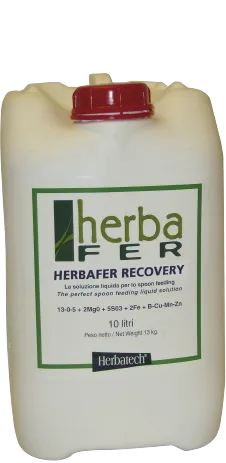 Recovery